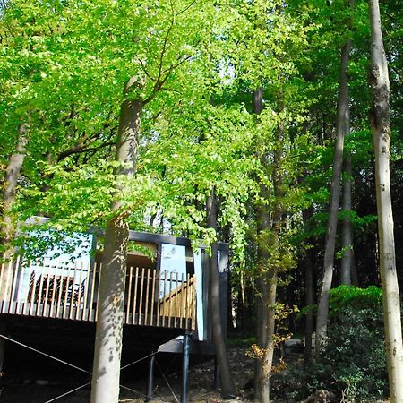 Gite Des Bois De Спа Екстер'єр фото