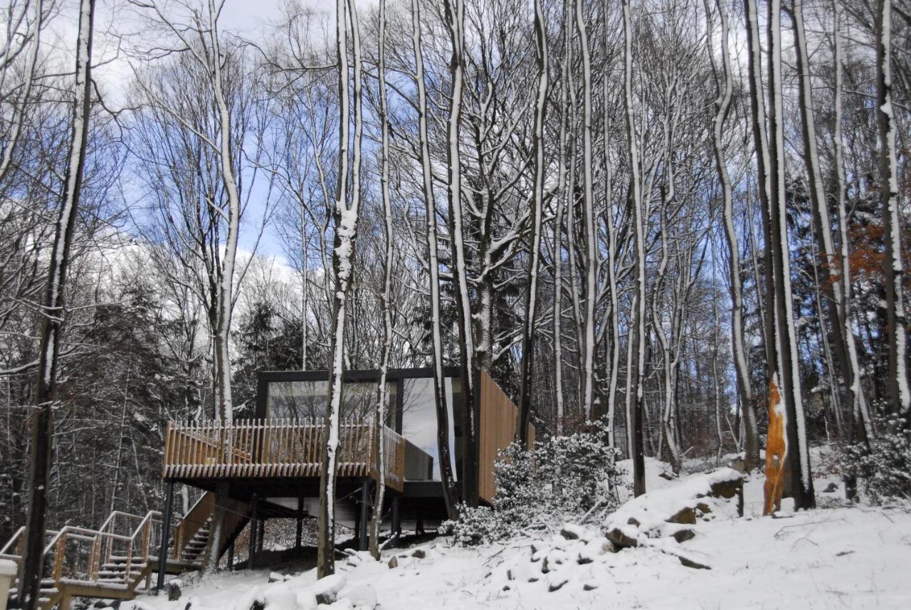 Gite Des Bois De Спа Екстер'єр фото