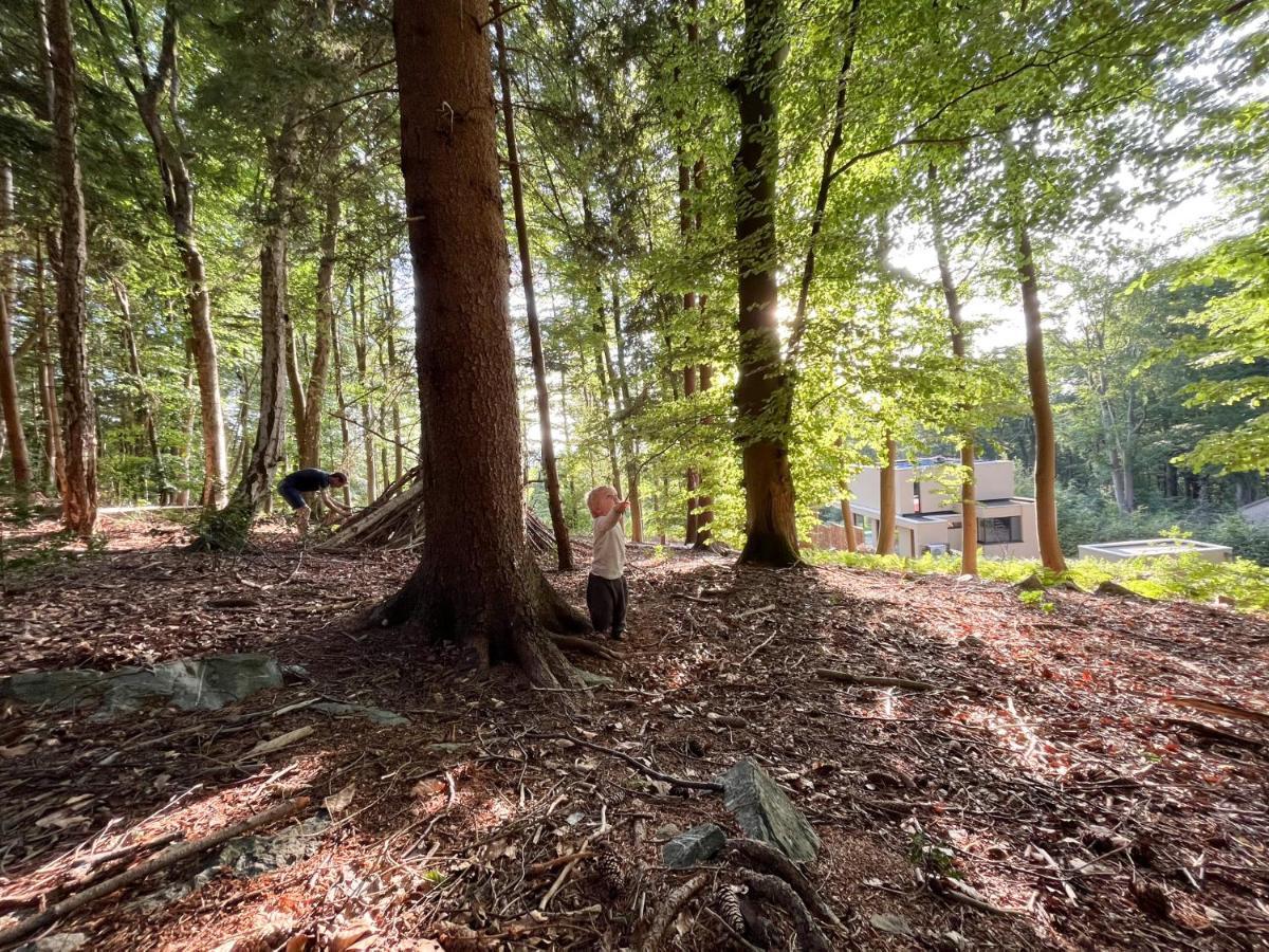 Gite Des Bois De Спа Екстер'єр фото