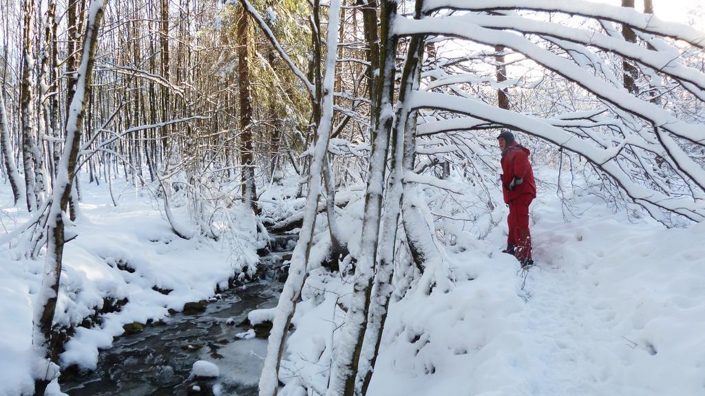 Gite Des Bois De Спа Екстер'єр фото